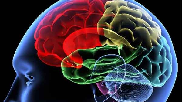 brain-growth-tips-niramoy24.com_-600x336